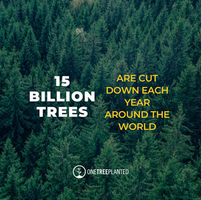 15 Billion Trees