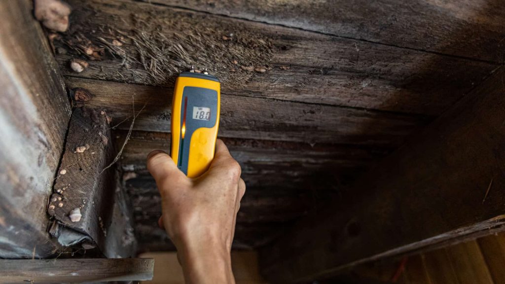 log home inspection