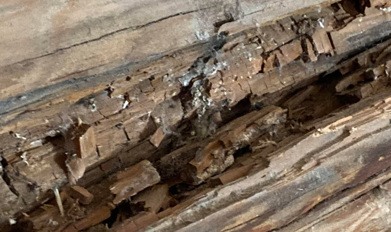 Rotten Log Repair